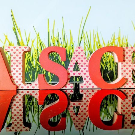 Citycosy-Strasbourg: Boston Espla Exteriér fotografie